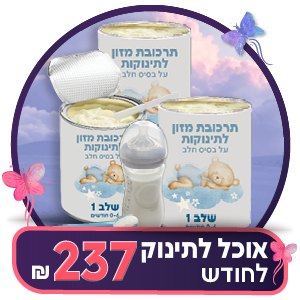 הבטחת הכנסה
